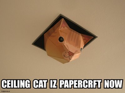 Ceiling Cat