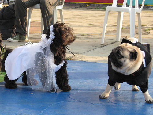 Desfile Lurpex - Noivo e Noiva