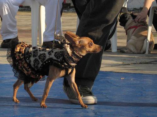 Desfile Lurpex - Diva!